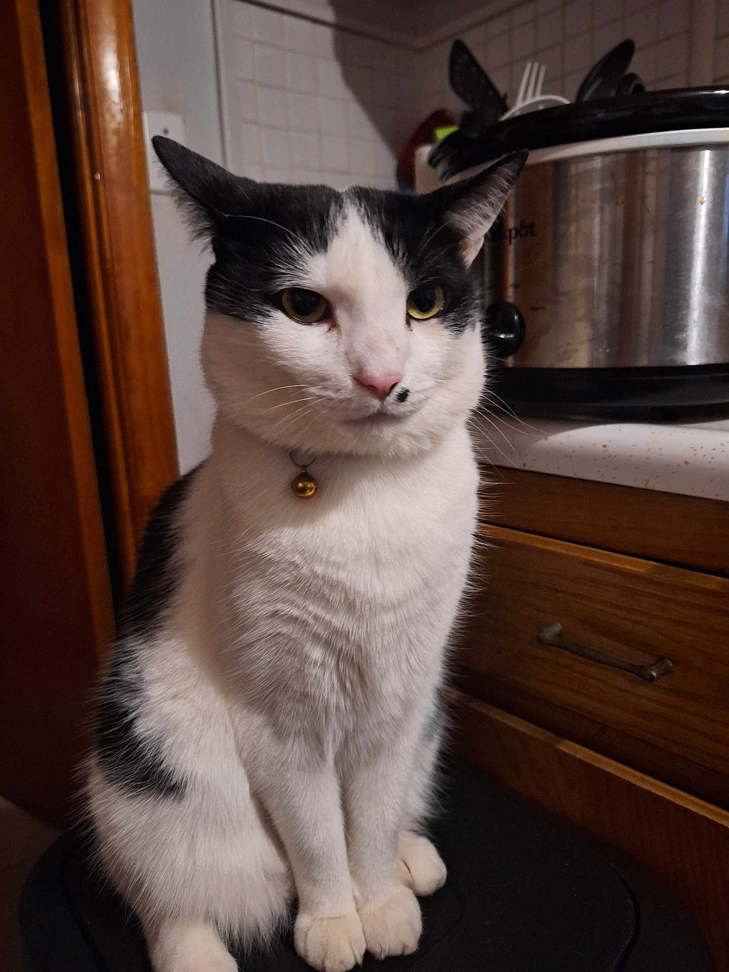 Kiki