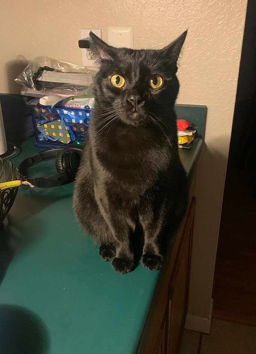 Zeke