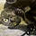 Mavis