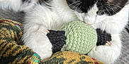 Jello joined the competition — help win amazing prizes! cat, kitten, black_and_white, whiskers, paw, toy, crochet_toy, blanket, close_up, indoor, sleeping, fur, nose, claws, playful, cozy, textile, pattern, pet, domestic_animal