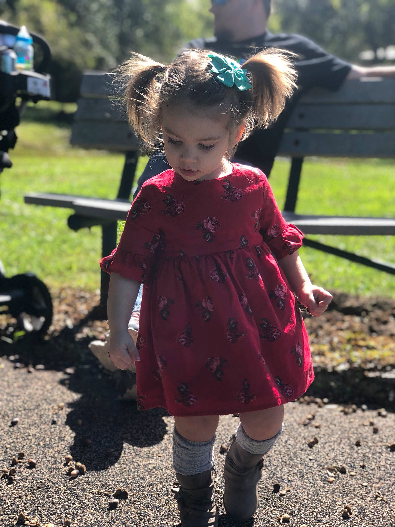 Adalie is registered to the contest to win money with this photo: child, child_model, dress, grass, leaf, outerwear, person, pink, plant, play, playground, soil, standing, toddler