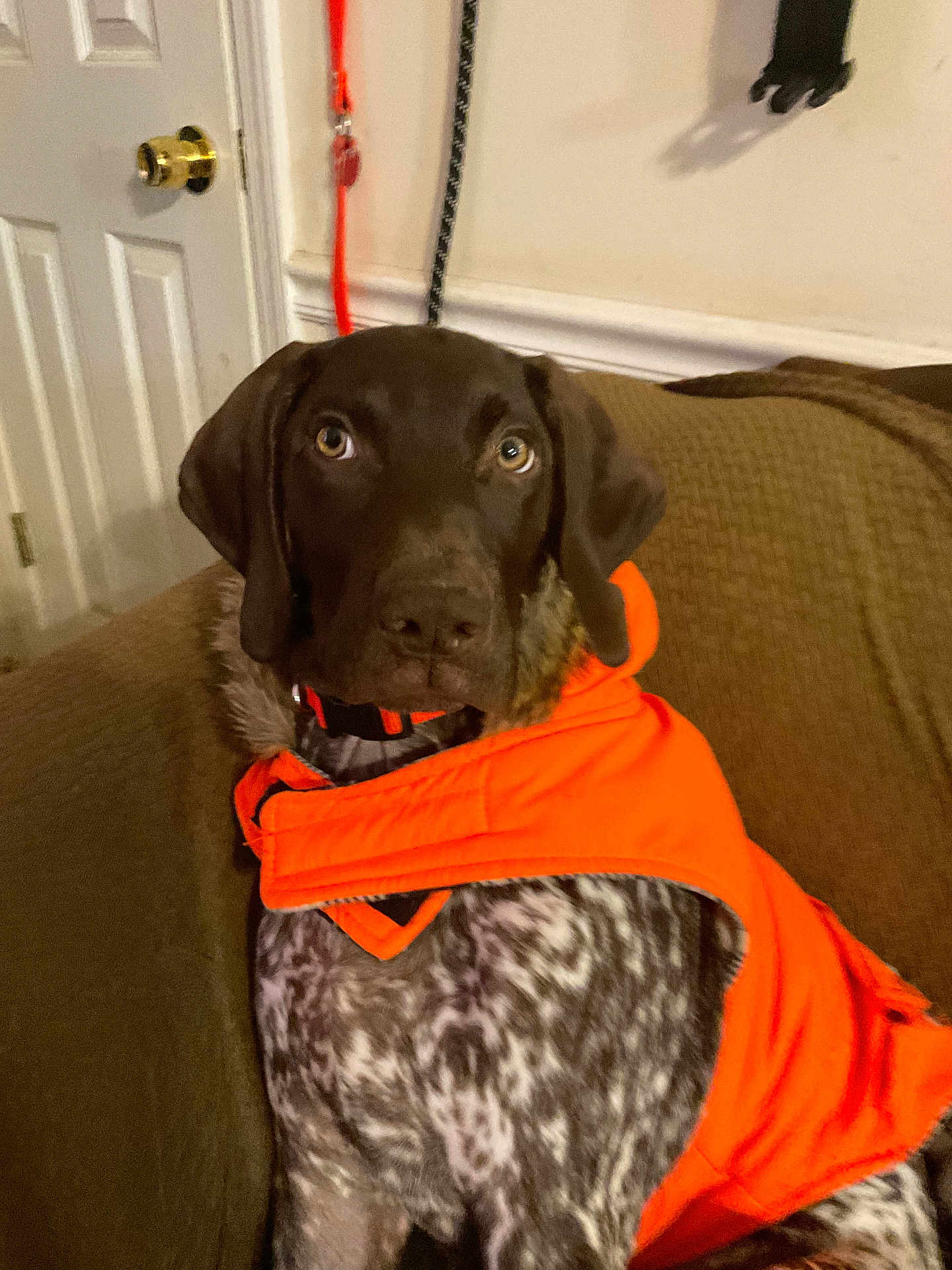 Remi