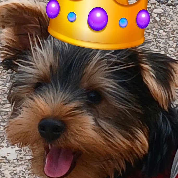 Billy