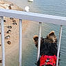 Billy participe au concours pour gagner de l'argent avec cette photo : dog, black_dog, red_harness, leash, outdoor, lakeside, lake, water, shoreline, ducks, swans, birds, wildlife, railing, bridge, pier, fluffy_fur, long_hair, animal, scenic_view