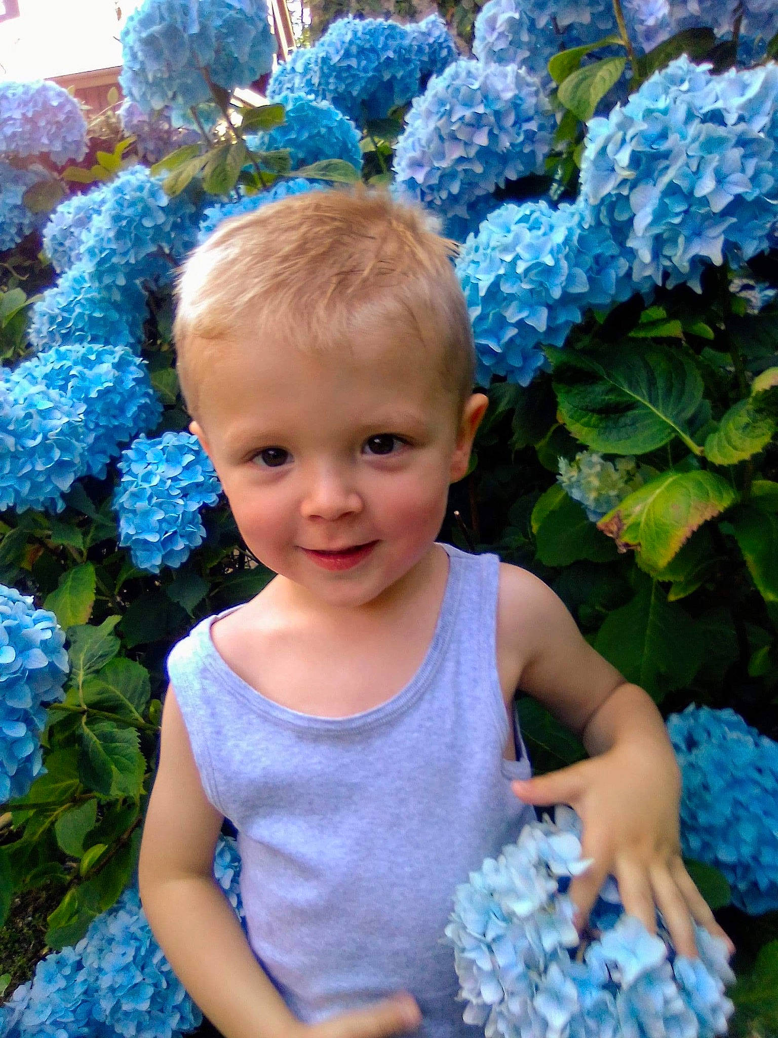 élio a rejoint le concours — aidez-le/la à gagner de superbes lots ! azure, baby_toddler_clothing, blue, botany, daytime, flower, grass, green, happy, joy, leaf, light, natural_environment, organ, person, petal, photograph, pink, plant, smile