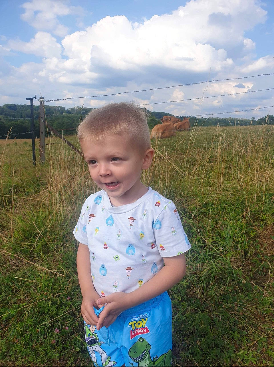 élio participe au concours pour gagner de l'argent avec cette photo : baby_toddler_clothing, cloud, cumulus, electric_blue, fun, grass, grassland, happy, horizon, landscape, leisure, meadow, pattern, people_in_nature, person, prairie, sky, sleeve, summer, t_shirt