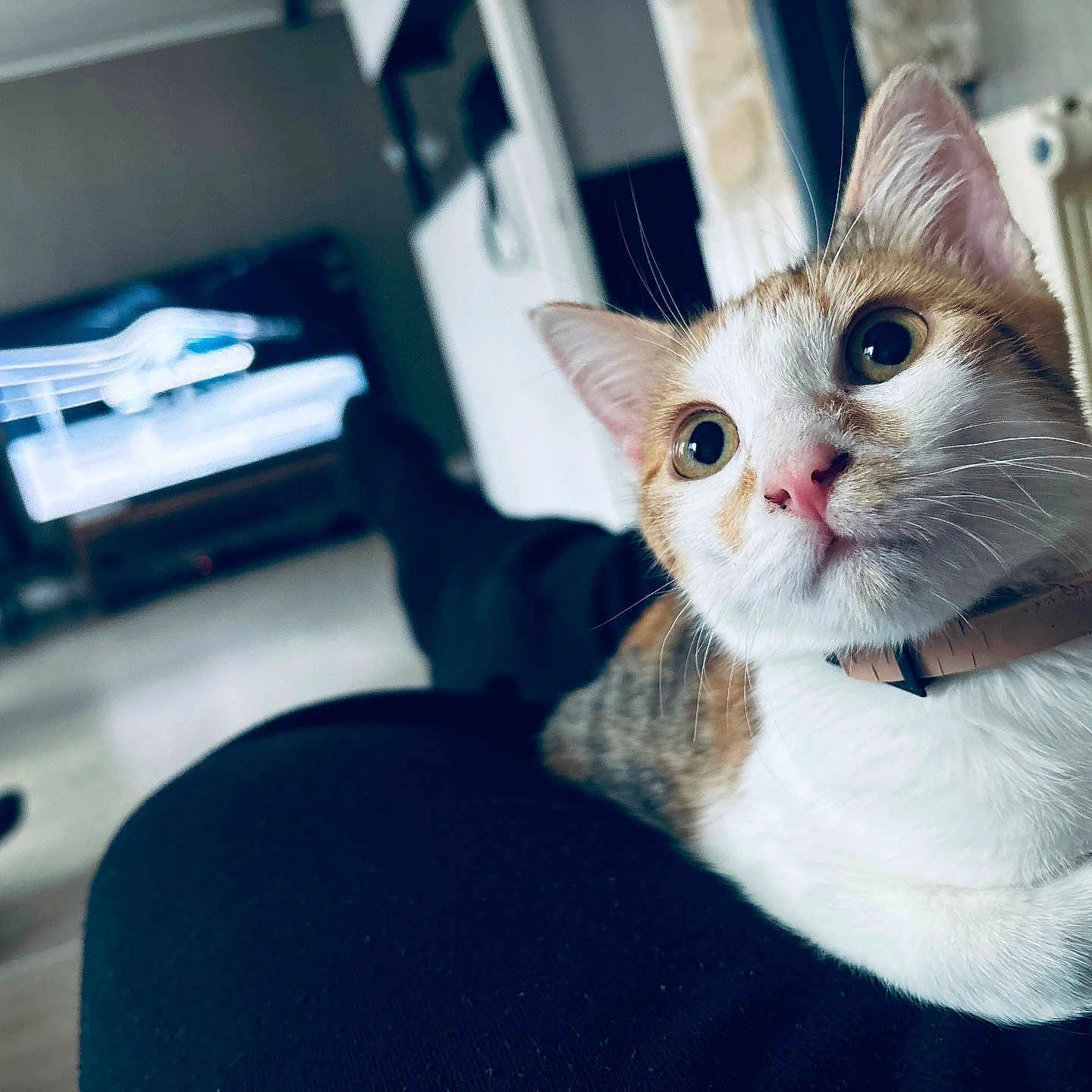 Caramel