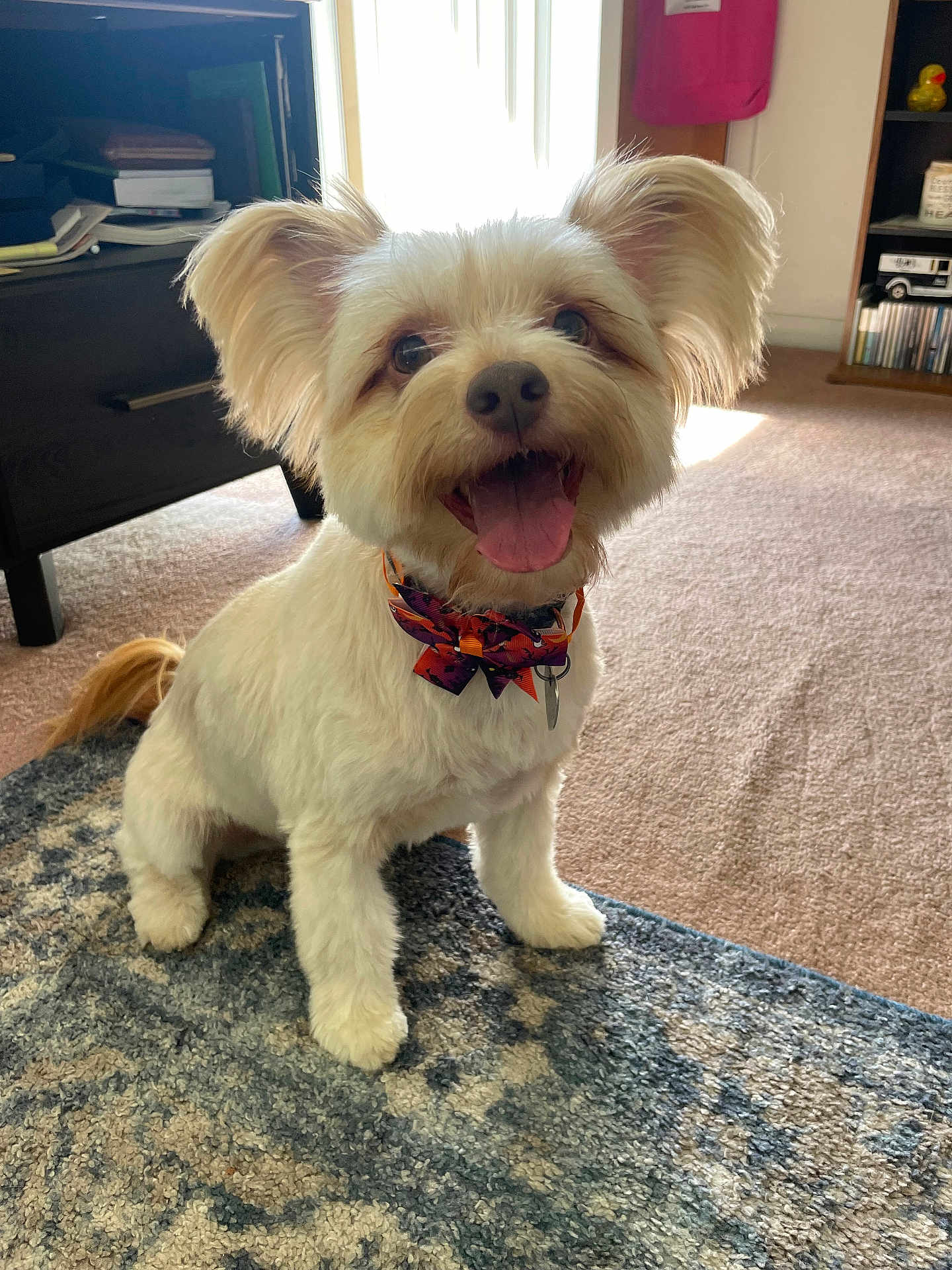 Chico