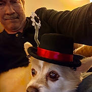 Reilly is registered to the contest to win money with this photo: man, dog, hat, indoor, couch, portrait, smile, pet, furniture, casual, warm_lighting, black_clothing, red_ribbon, face, animal, headwear, relaxed, closeup, person, cozy