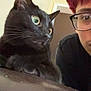 black_cat, cat, pet, indoor, person, red_hair, glasses, curious, wide_eyes, face, close_up, feline, animal, looking_away, reflection, brown_surface, whiskers, ears, human, portrait