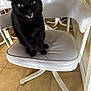 black_cat, cat, indoor, white_chair, furniture, pet, animal, floor, tile_floor, sitting, mouth_open, fur, domestic_cat, four_legged, whiskers, ears, seat, home, cute, expression