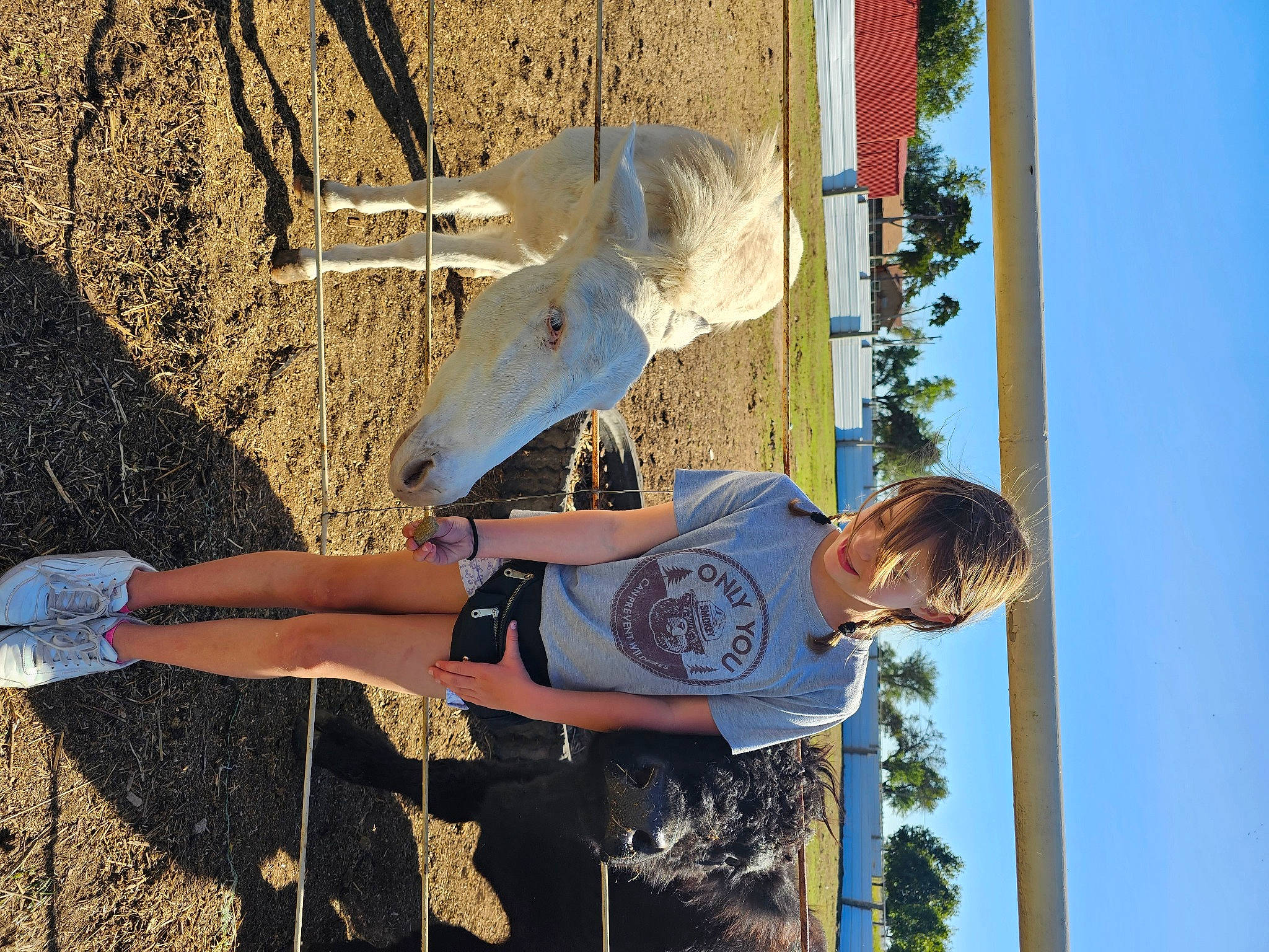 Bellah is registered to the contest to win money with this photo: art, blue, concrete, electric_blue, facade, fun, human_leg, landscape, leisure, line, person, plant, shadow, sky, statue, thigh, tree, visual_arts, white, wood