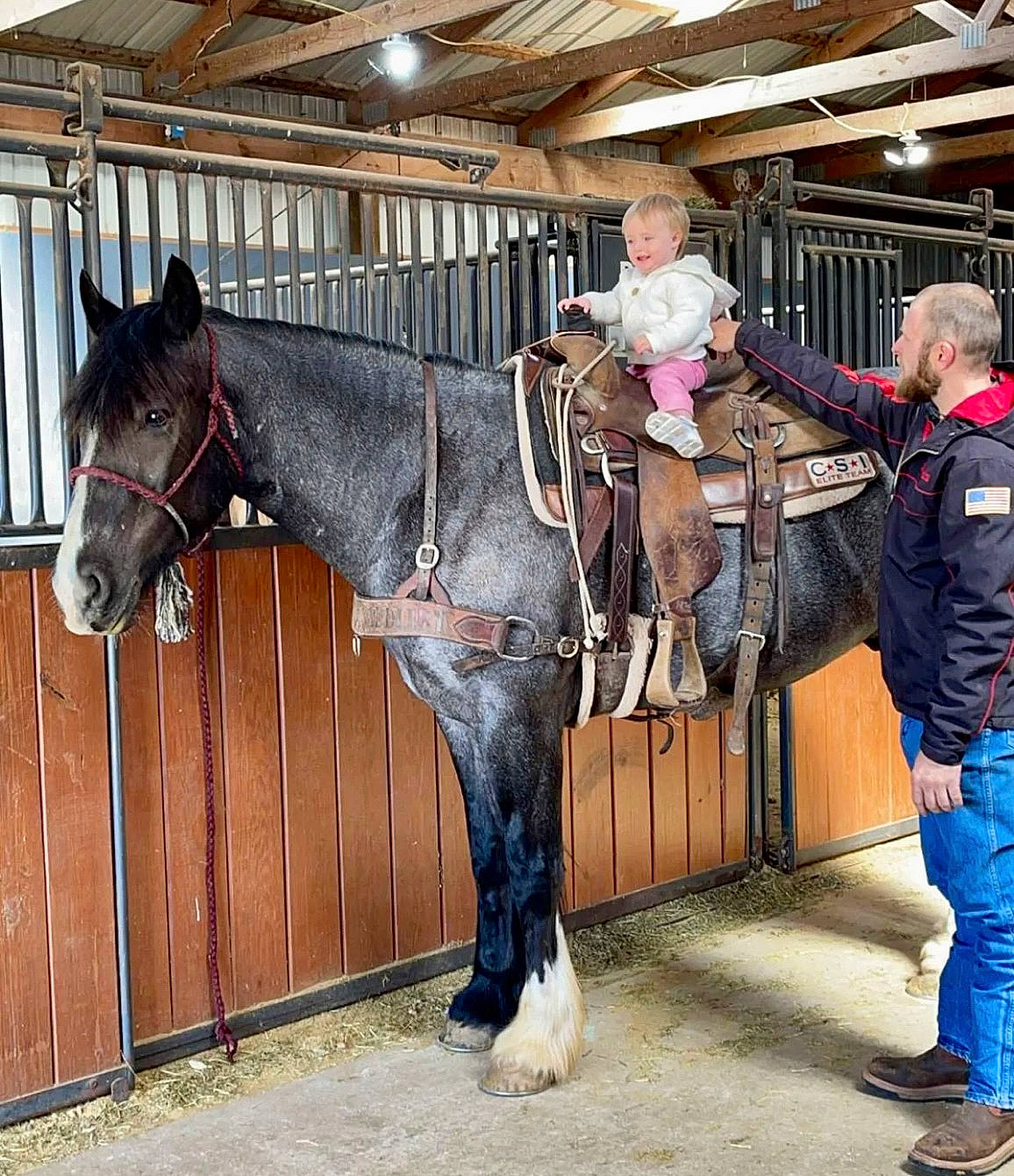 Lydia joined the competition — help win amazing prizes! bit, bridle, event, horse, horse_supplies, horse_tack, joy, liver, livestock, mammal, mane, mare, pack_animal, person, recreation, rein, saddle, snout, stable, stallion