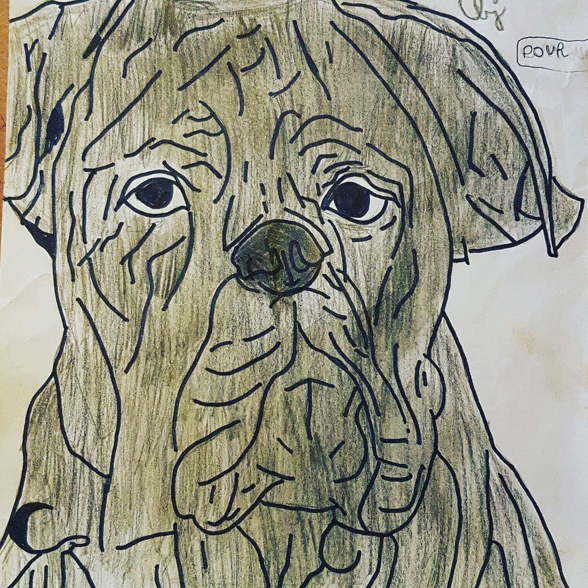 Mya a rejoint le concours — aidez-le/la à gagner de superbes lots ! ancient_dog_breeds, canidae, carnivore, cartoon, dog, dog_breed, drawing, illustration, line_art, mammal, puppy, rare_breed_dog, sketch, snout, sporting_group