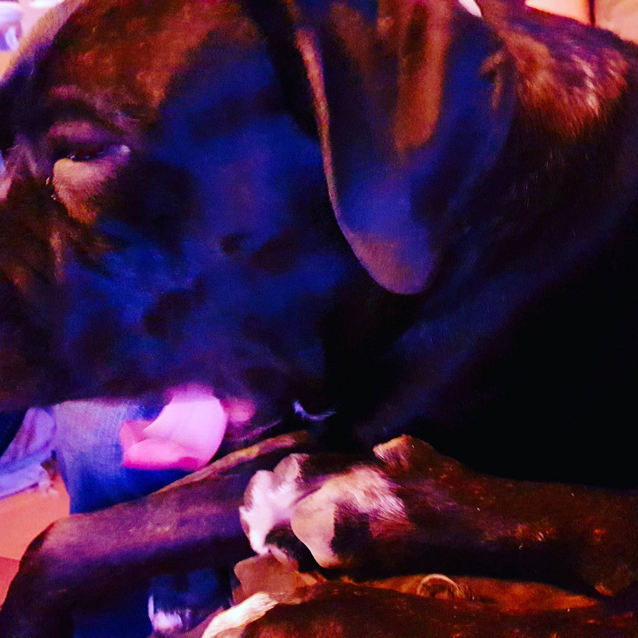 Mya a rejoint le concours — aidez-le/la à gagner de superbes lots ! art, hand, painting, purple, sky