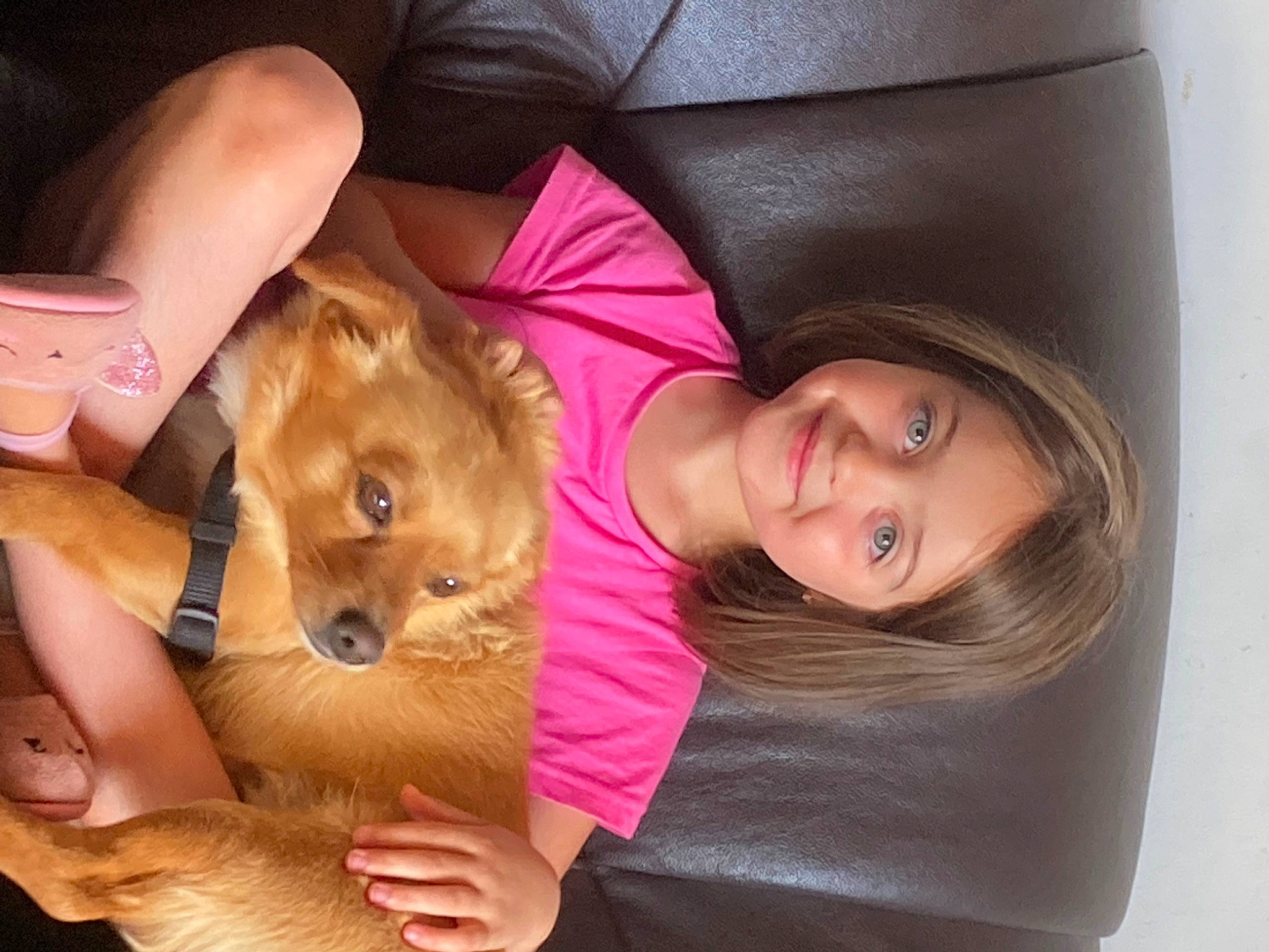 Elya a rejoint le concours — aidez-le/la à gagner de superbes lots ! blond, carnivore, comfort, companion_dog, dog, dog_breed, ear, fawn, fun, happy, joy, lap, mammal, nose, person, skin, smile, snout, spitz, toy
