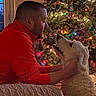 Dixie is registered to the contest to win money with this photo: affection, celebration, christmas_tree, cozy, cute, decor, dog, festive, friendship, holiday, home, indoor, lights, man, ornaments, pet, red_clothing, smile, tree, warmth
