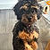 Mable