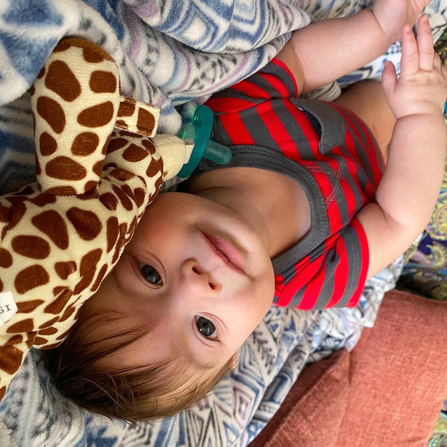 Koen is registered to the contest to win money with this photo: baby, baby_toddler_clothing, comfort, finger, fun, giraffidae, hand, happy, head, mammal, mouth, organ, pattern, people_in_nature, product, skin, textile, thigh, toddler, vertebrate