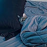 Jasper joined the competition — help win amazing prizes! bed, bedroom, blanket, cat, cozy, duvet, ears, face, fur, indoor, nap, pet, pillow, pillowcase, resting, sheets, sleeping, soft, tabby_cat, whiskers