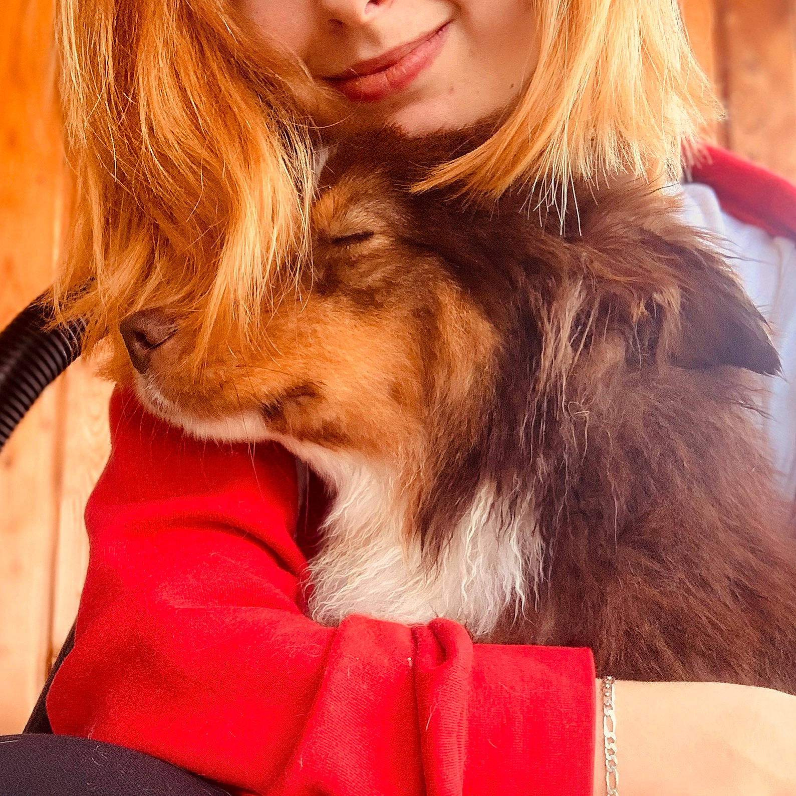 Pêche a rejoint le concours — aidez-le/la à gagner de superbes lots ! blond, brown_hair, canidae, carnivore, companion_dog, dog, dog_breed, fawn, fur, hair, hair_coloring, layered_hair, long_hair, neck, puppy_love, textile