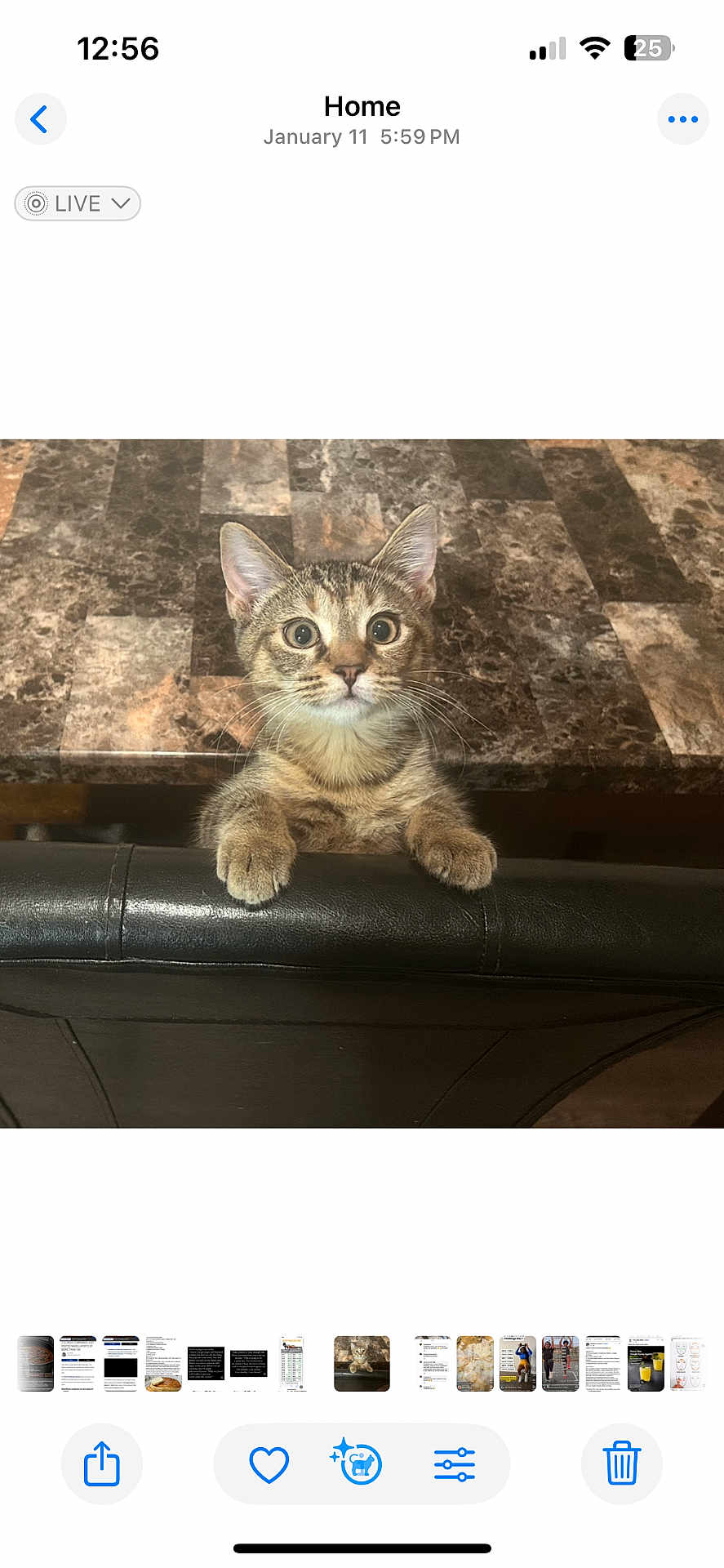 Mimi