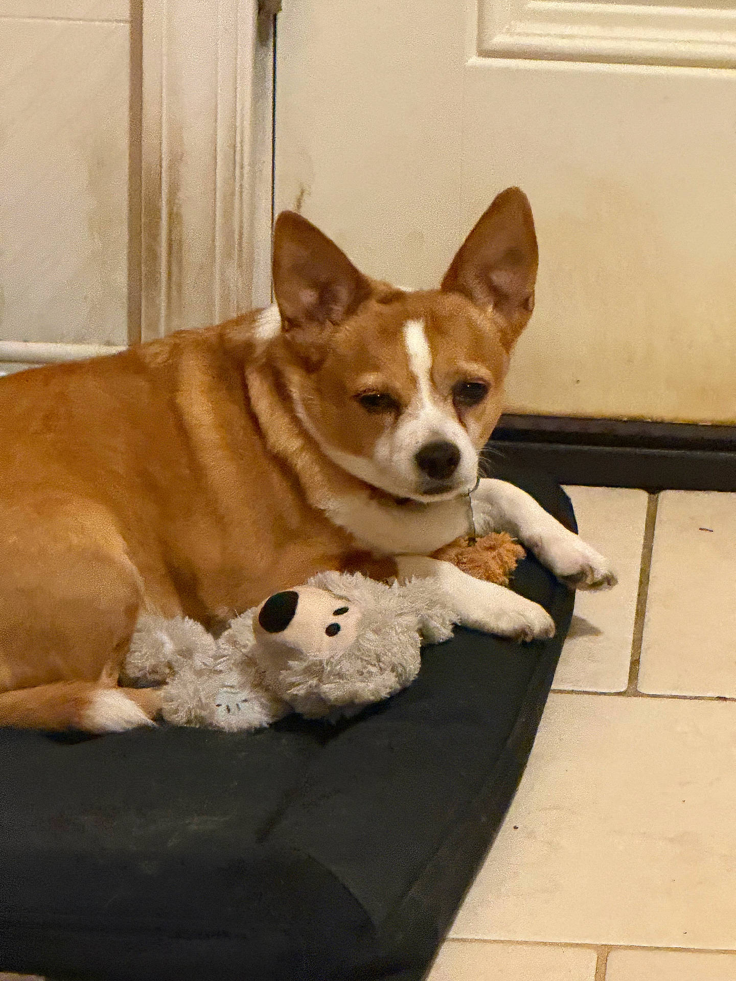 Gizmo