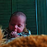 newborn, baby, infant, child, sleepy, sitting, hands, fingers, plaid, outfit, dog, golden_dog, fluffy, pet, portrait, indoor, window, shutters, cozy, closeup