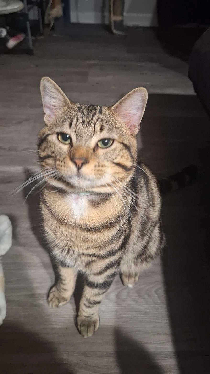 Tyga