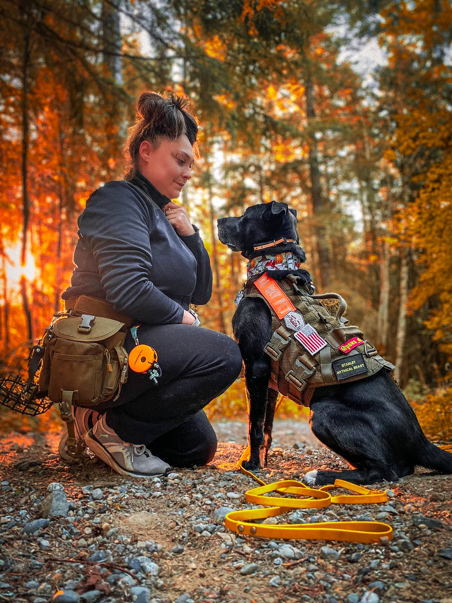 Stanley is registered to the contest to win money with this photo: backpack, bag, boot, carnivore, companion_dog, dog, dog_breed, dog_supply, fawn, forest, happy, leash, leisure, luggage_and_bags, mammal, people_in_nature, plant, recreation, tree, wood