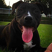 Ioko participe au concours pour gagner de l'argent avec cette photo :