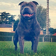 Hummer a rejoint le concours — aidez-le/la à gagner de superbes lots !