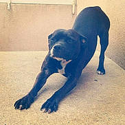 Halka a rejoint le concours — aidez-le/la à gagner de superbes lots !