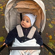 Eden participe au concours pour gagner de l'argent avec cette photo : baby, stroller, blanket, hat, autumn, leaves, outdoor, child, plush_toy, cozy, bundle, face, person, clothing, seat, safety_harness, nature, fall, cute, portrait