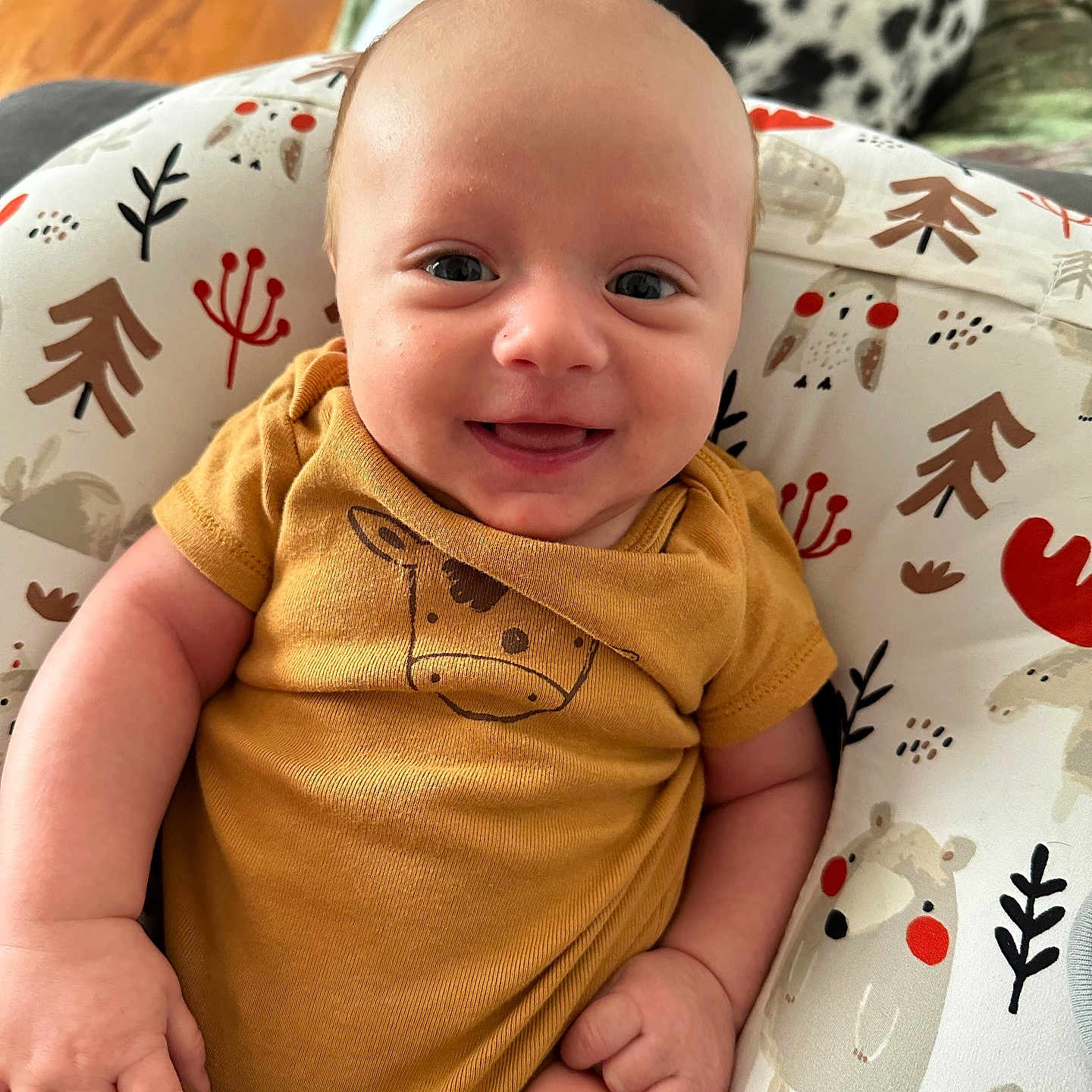 Henson joined the competition — help win amazing prizes! animal, baby, babylaughing, canine, clothing, couch, cushion, dog, face, furniture, happy, head, homedecor, laughing, person, pet, photography, portrait, smile, t_shirt