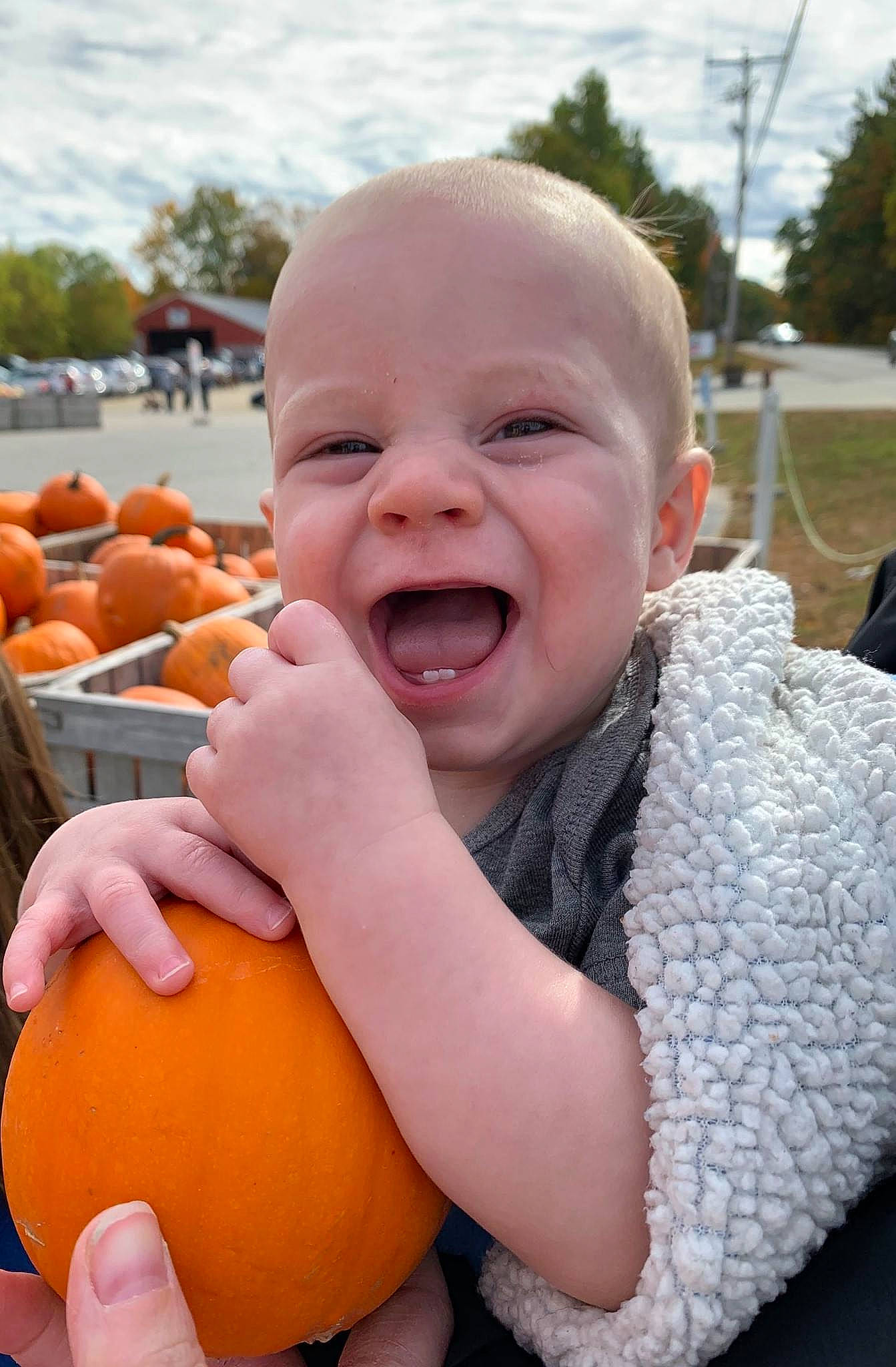 Bradley is registered to the contest to win money with this photo: baby, calabaza, child, cucurbita, food, fruit, gourd, local_food, mouth, orange, person, plant, produce, pumpkin, smile, squash, toddler, vegetable, winter_squash