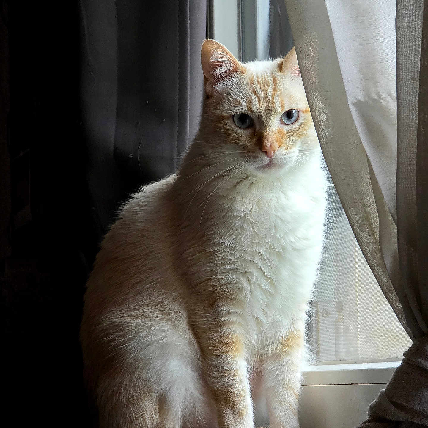 Eiji