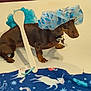 dog, dachshund, shower_cap, bath_pouf, wooden_spoon, blanket, unicorn, space_theme, indoor, pet, animal, brown_dog, cute, sitting, accessory, floor, playful, domestic, portrait, funny