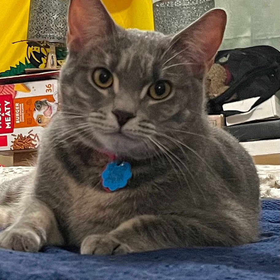 Nuka