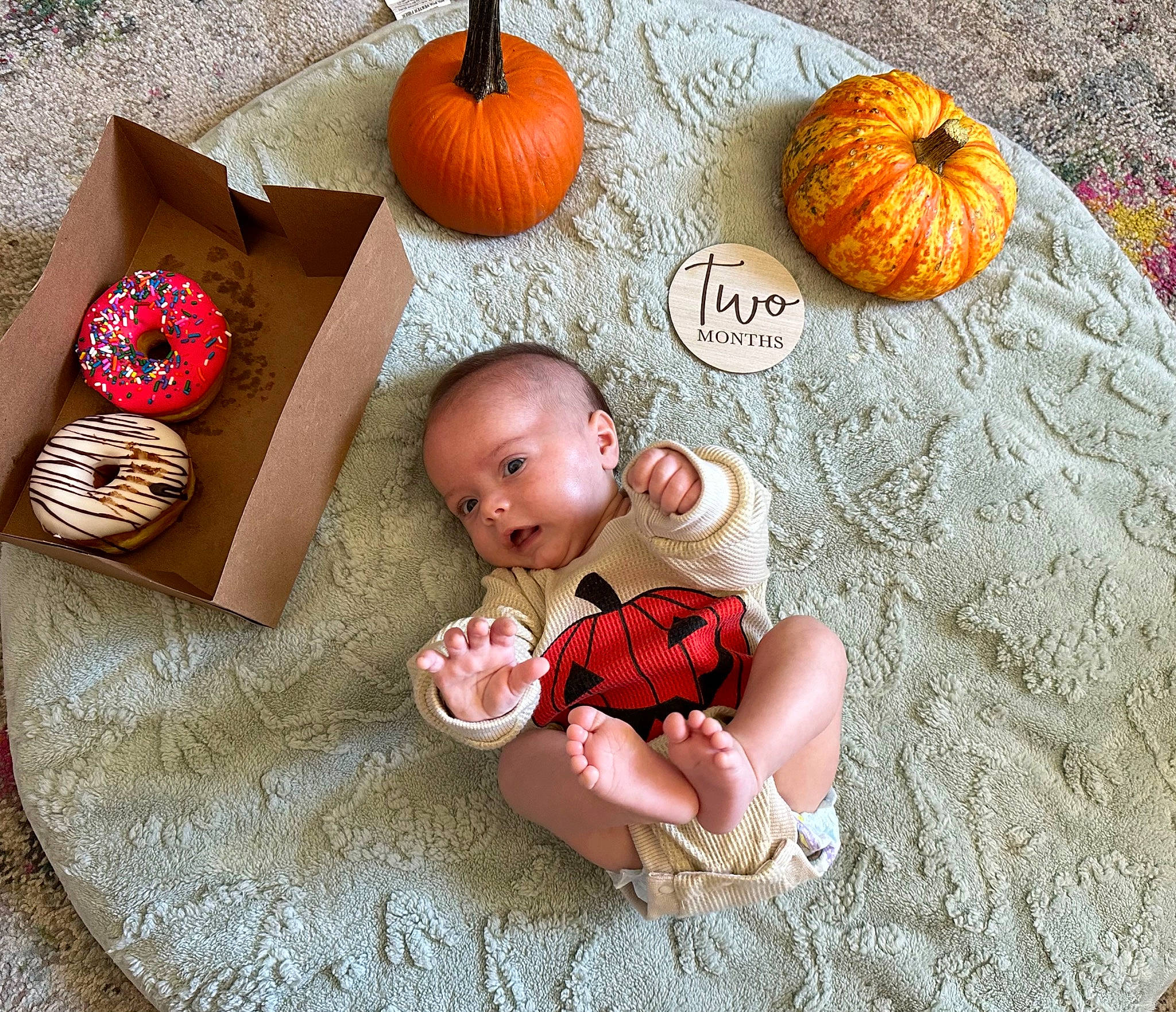 Kaiden is registered to the contest to win money with this photo: art, baby, baby_toddler_clothing, calabaza, comfort, cucurbita, gourd, leaf, local_food, natural_foods, orange, person, plant, produce, pumpkin, squash, toy, tree, vegetable, winter_squash