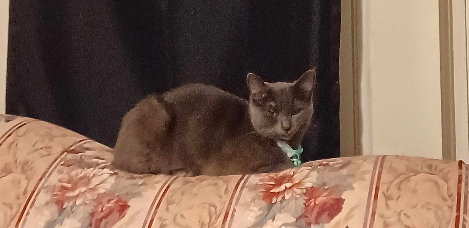 Princess