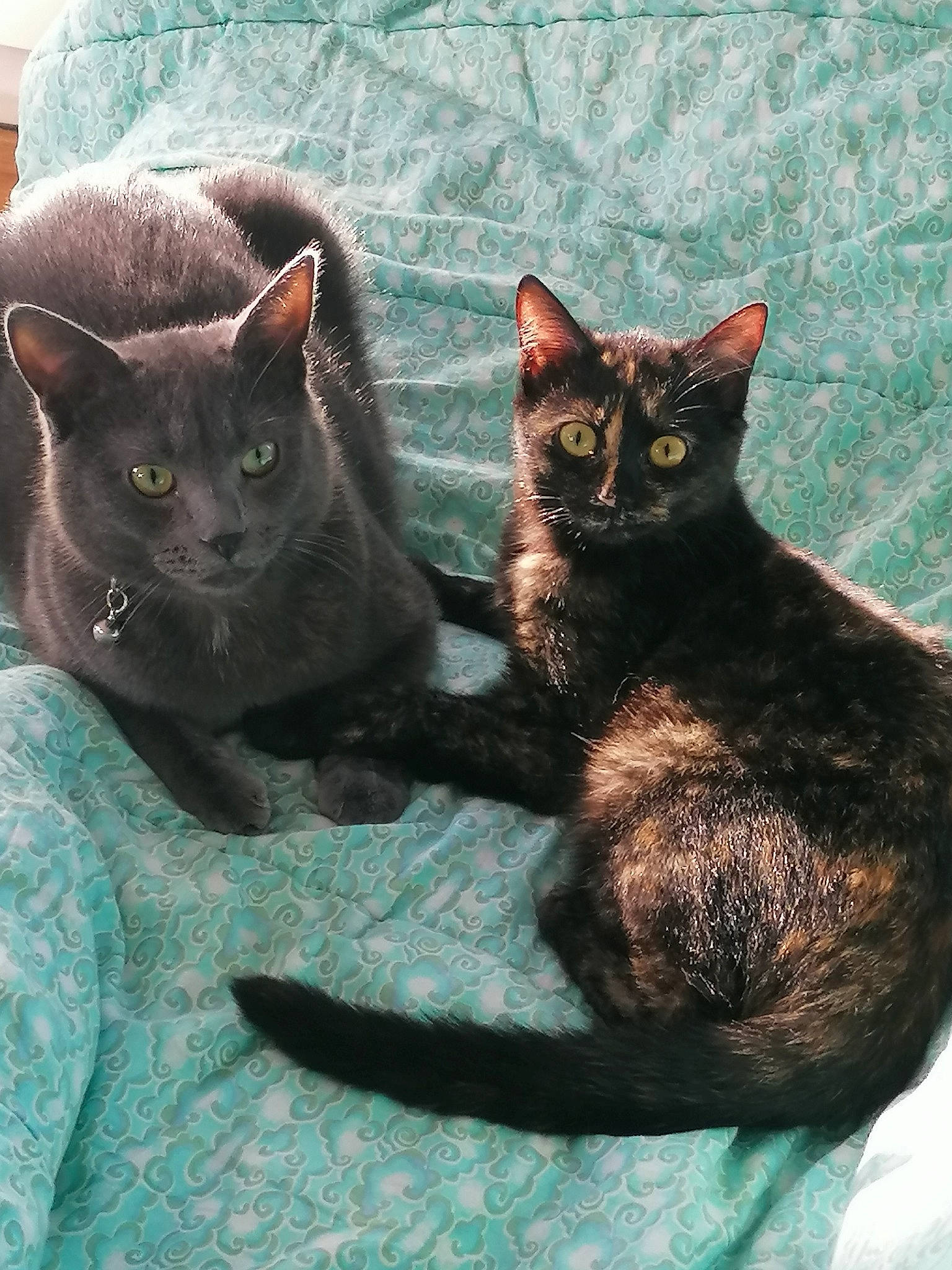 Fripouille Flocon Pépite