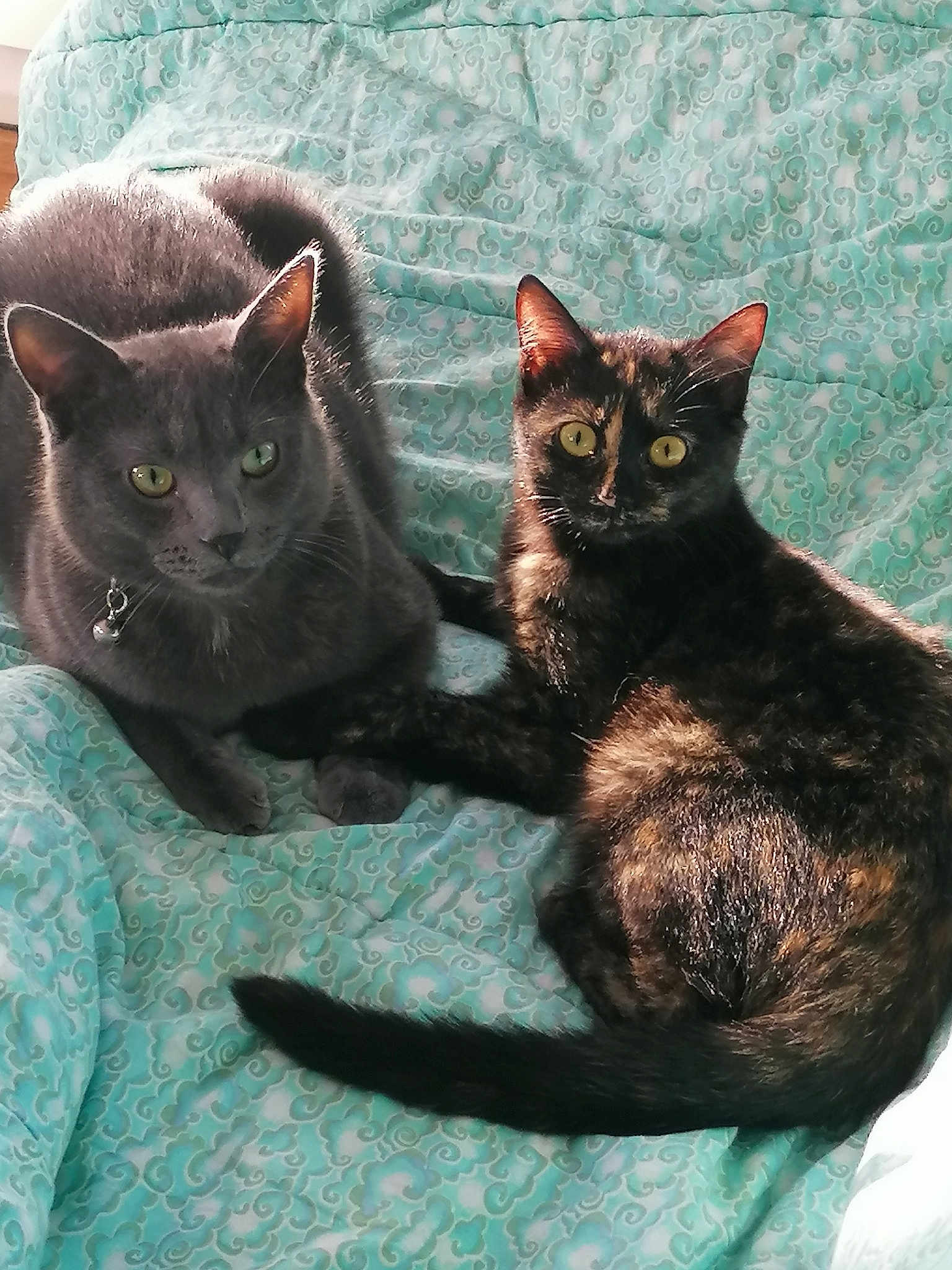 Fripouille Flocon Pépite