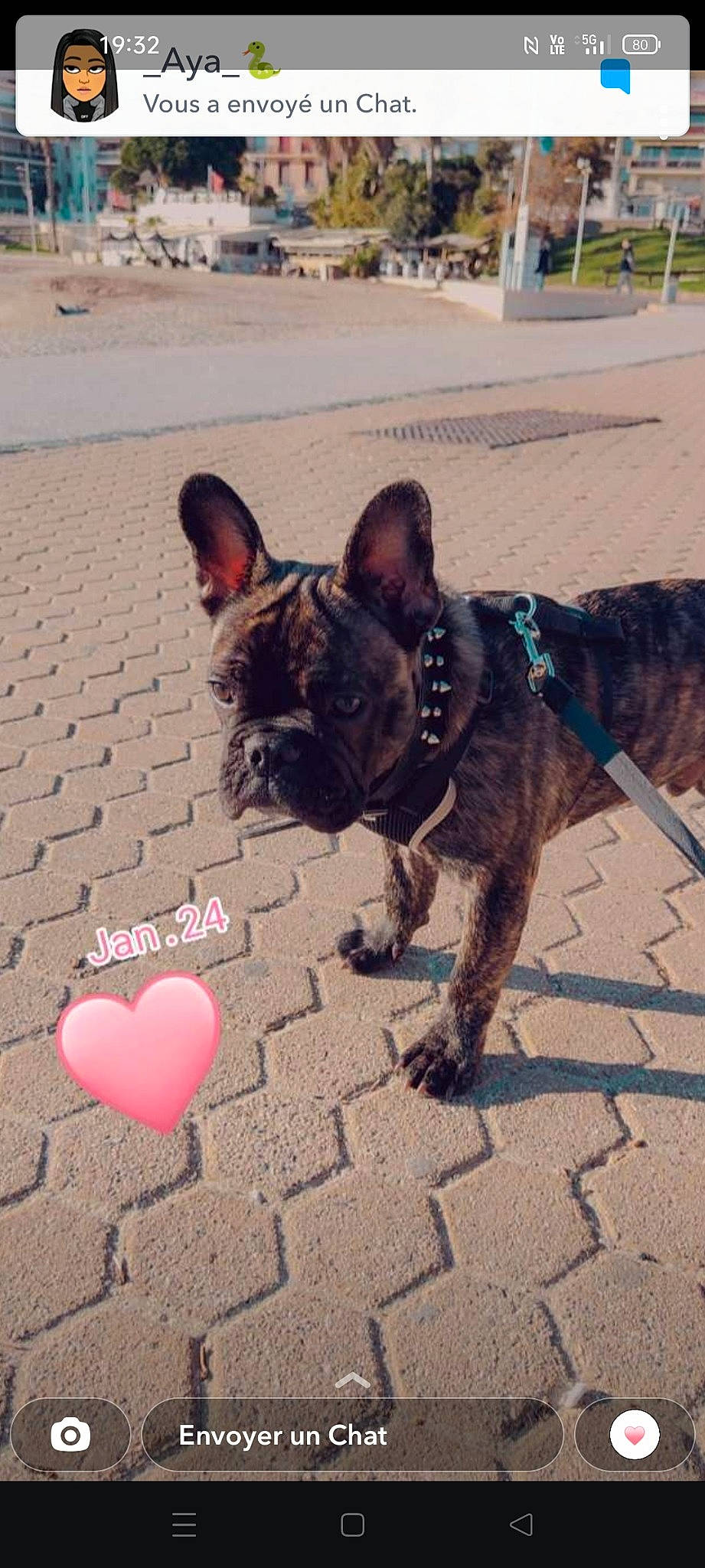 élio a rejoint le concours — aidez-le/la à gagner de superbes lots ! bulldog, carmine, carnivore, collar, companion_dog, dog, dog_breed, dog_collar, fashion_accessory, fawn, flooring, french_bulldog, leash, mammal, road_surface, snout, sporting_group, vertebrate, working_animal, wrinkle