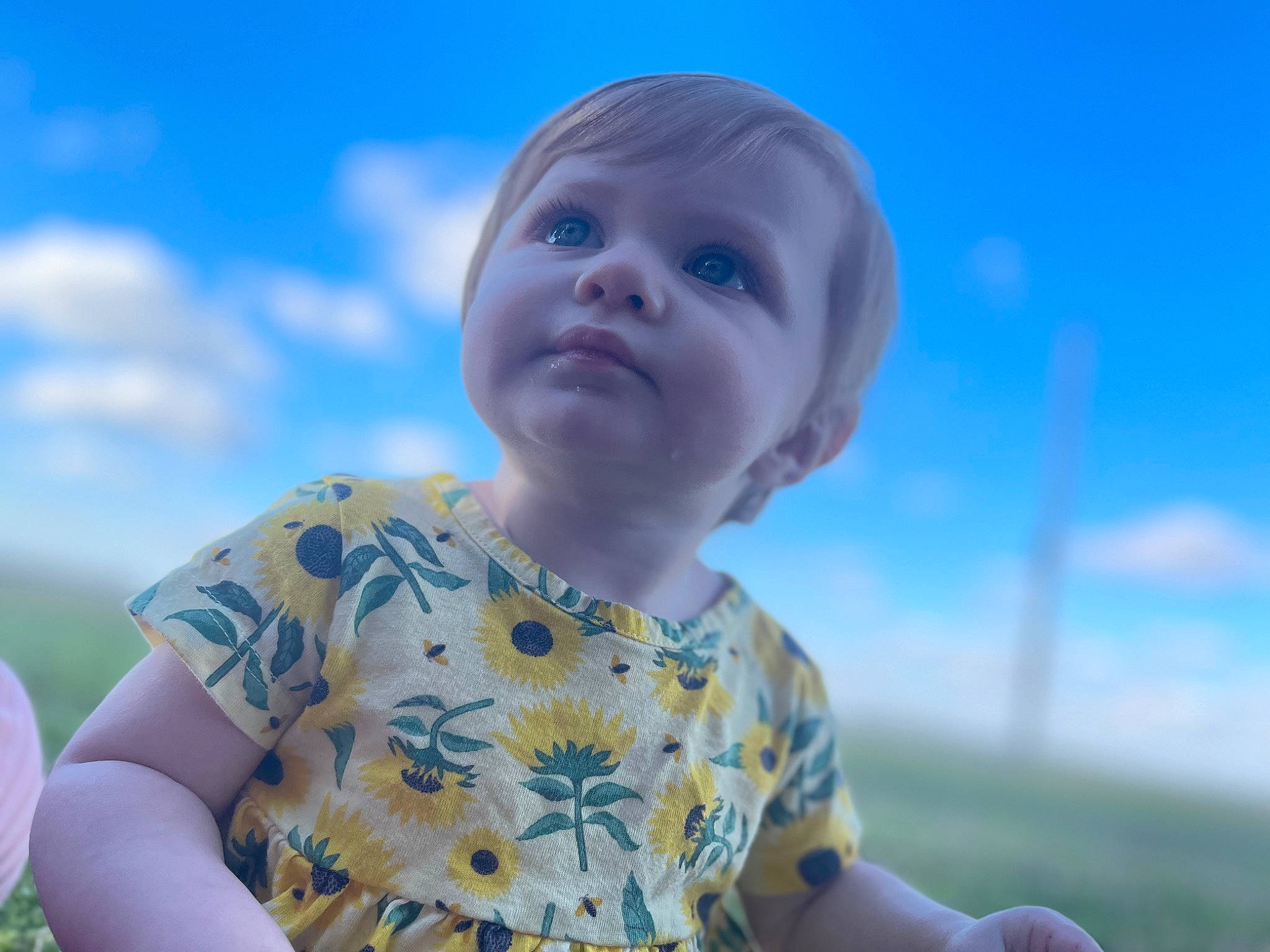 Addisyn is registered to the contest to win money with this photo: azure, baby_toddler_clothing, child, cloud, finger, flash_photography, fun, grass, grassland, happy, iris, leisure, people_in_nature, person, skin, sky, smile, sunlight, toddler, tree
