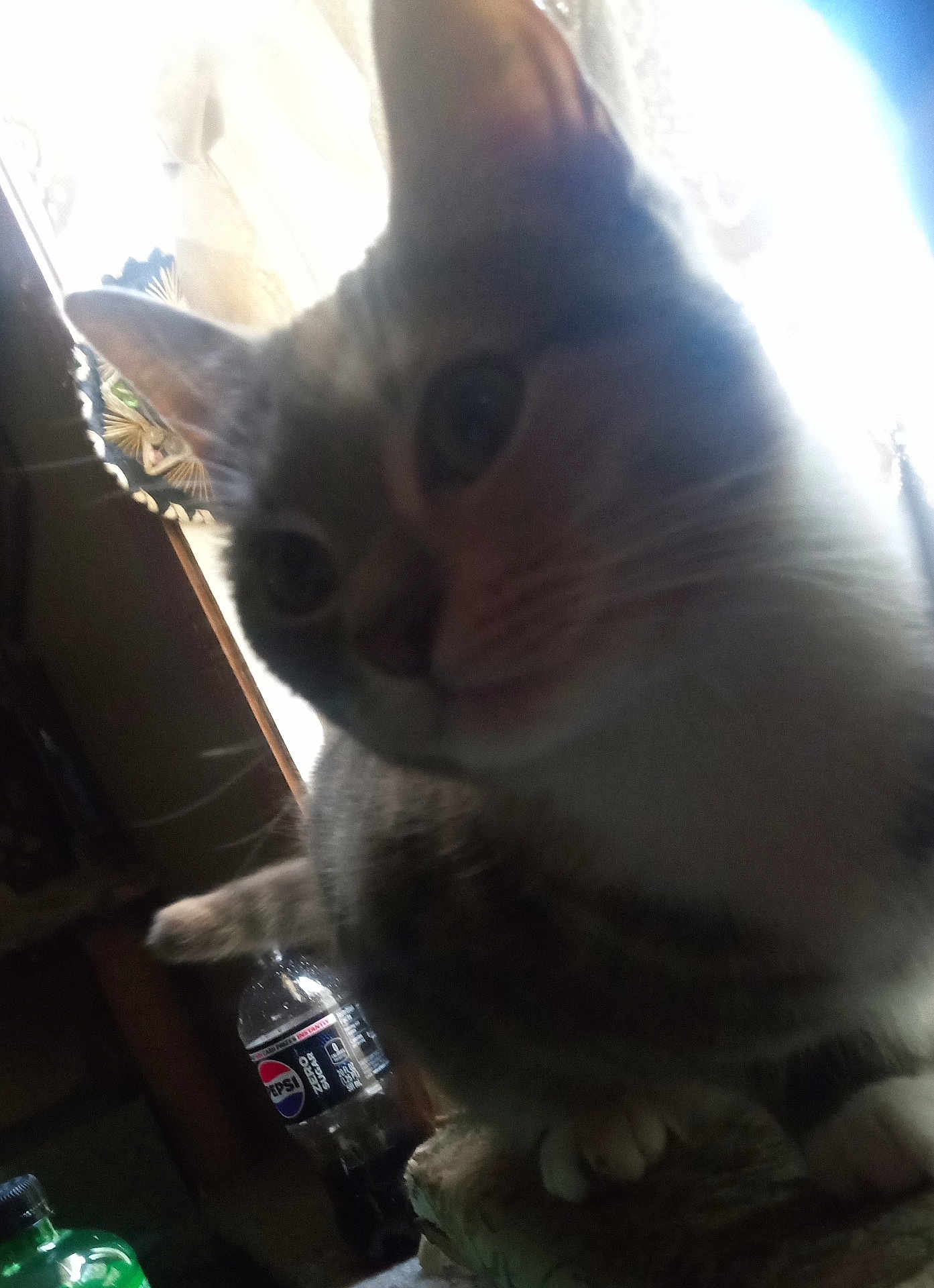 Kiki