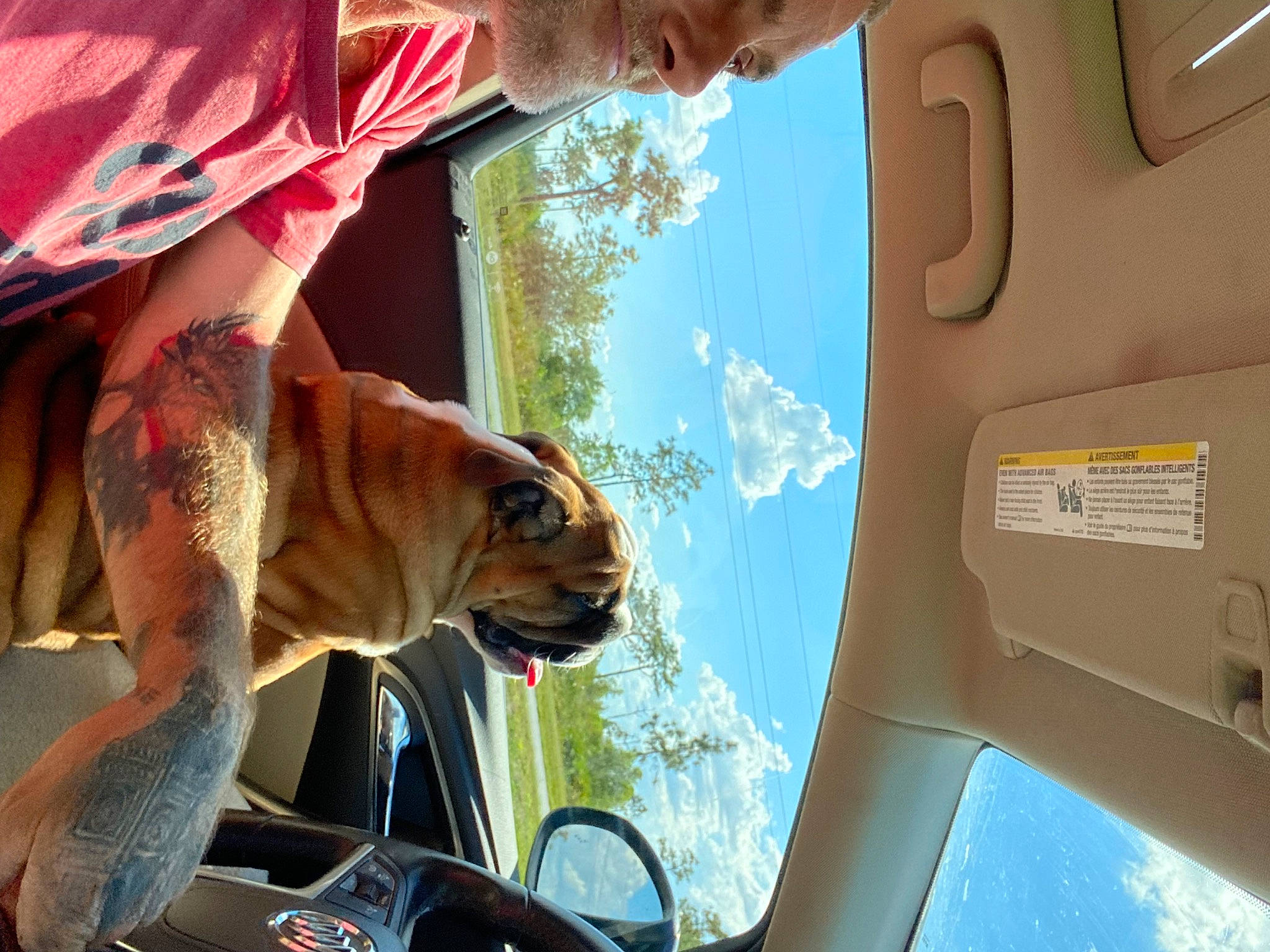 Dagoose is registered to the contest to win money with this photo: automotive_exterior, automotive_window_part, big_cats, carnivore, eyewear, fawn, felidae, fun, hat, leisure, motor_vehicle, sky, snapshot, snout, sunglasses, tree, vehicle, vehicle_door, window, windshield