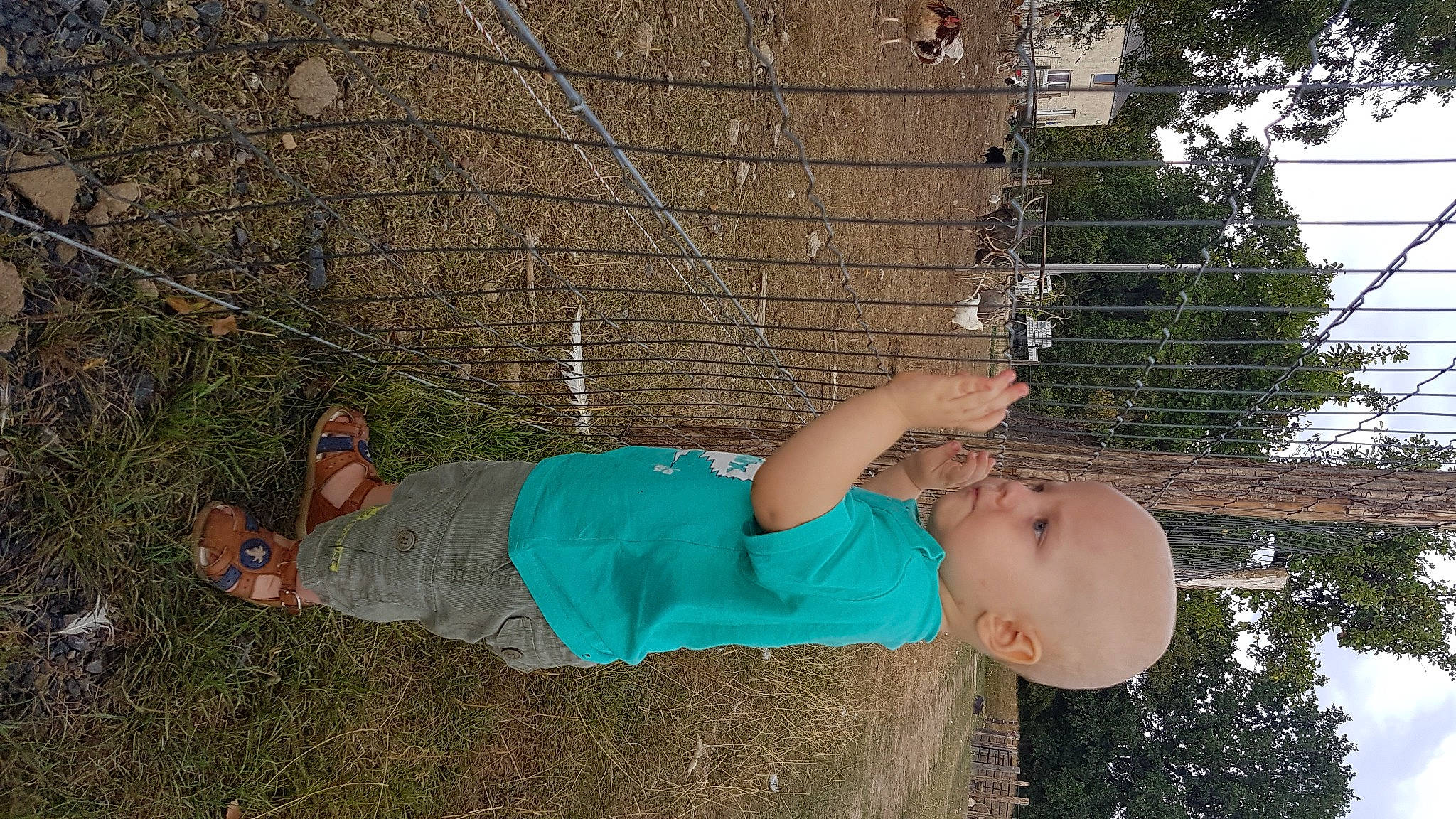 Nathan a rejoint le concours — aidez-le/la à gagner de superbes lots ! arm, person, tree, vacation