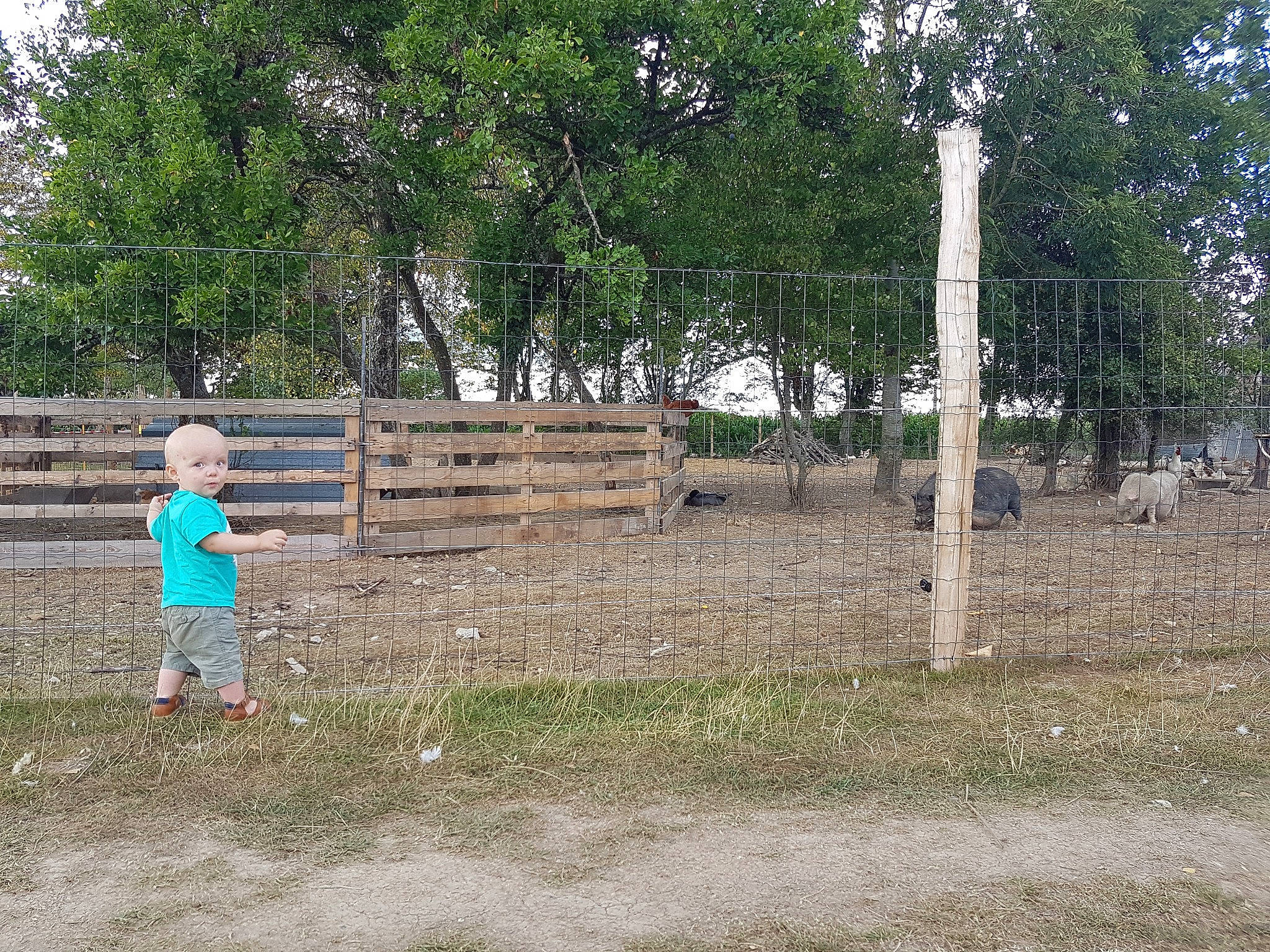 Nathan a rejoint le concours — aidez-le/la à gagner de superbes lots ! child, fence, fun, games, grass, home_fencing, house, land_lot, park, person, plant, play, recreation, soil, tree, vacation, wall
