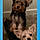 Libbey And Bandit